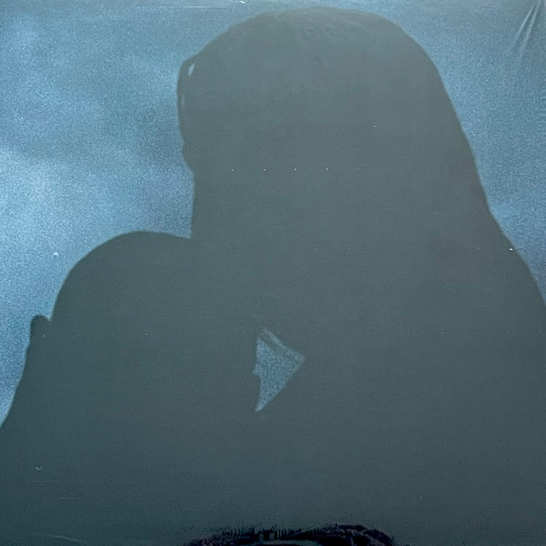 VEGA - WIESO SIE STURME NACH MENSCHEN BENENNEN - LP Vinyl