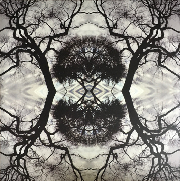 ADAM RUDOLPH - SONIC MANDALA GO: ORGANIC ORCHESTRA - LP Vinyl