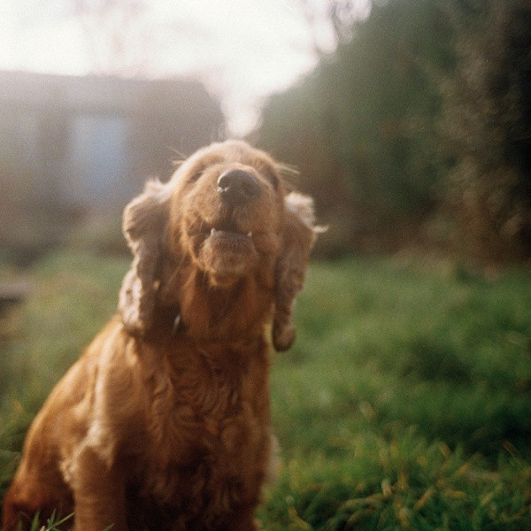 OC5qcGVn-666.jpeg VONDELPARK - NYC STUFF & NYC BAGS (EP) - 12 Inch vinyl