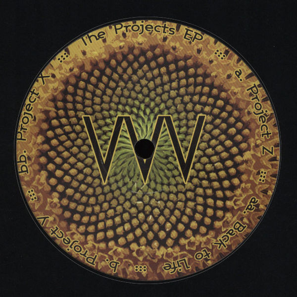 OC5qcGVn-687.jpeg VVV - PROJECTS - 12 Inch vinyl