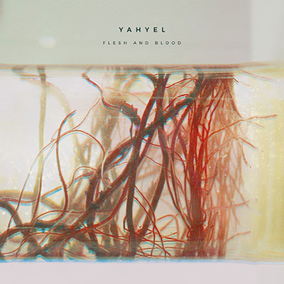 YAHYEL - FLESH & BLOOD - LP Vinyl