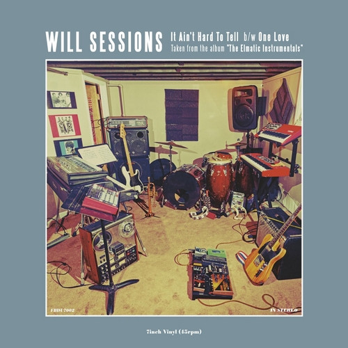 WILL SESSIONS - IT AIN'T HARD TO TELL - LP Vinyl