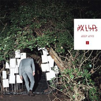 WILD PALMS - DEEP DIVE - 7 inch Vinyl