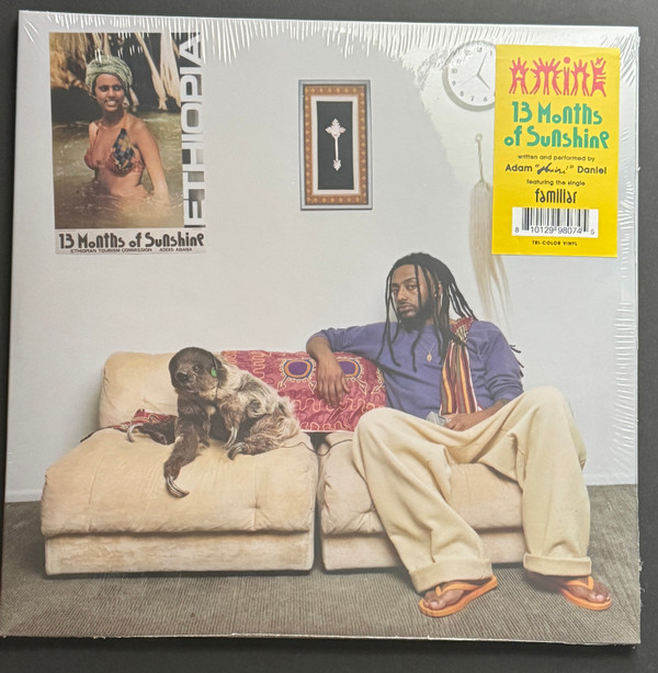 AMINE - 13 MONTHS OF SUNSHINE - LP Vinyl